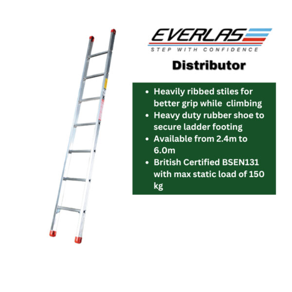 EVERLAS ESDR HEAVY DUTY SINGLE POLE LADDER ES08DR | ES10DR | ES12DR - LD902 - Image 3