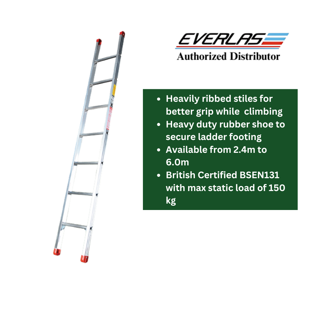 EVERLAS ESDR HEAVY DUTY SINGLE POLE LADDER ES08DR | ES10DR | ES12DR - LD902 - Image 2