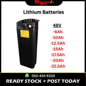 MIC TYPE 48V LITHIUM BATTERY ELECTRIC BICYCLE BIKE303