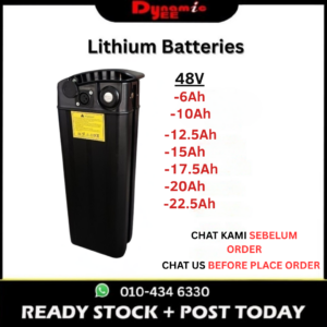 MIC TYPE 48V LITHIUM BATTERY ELECTRIC BICYCLE BIKE303