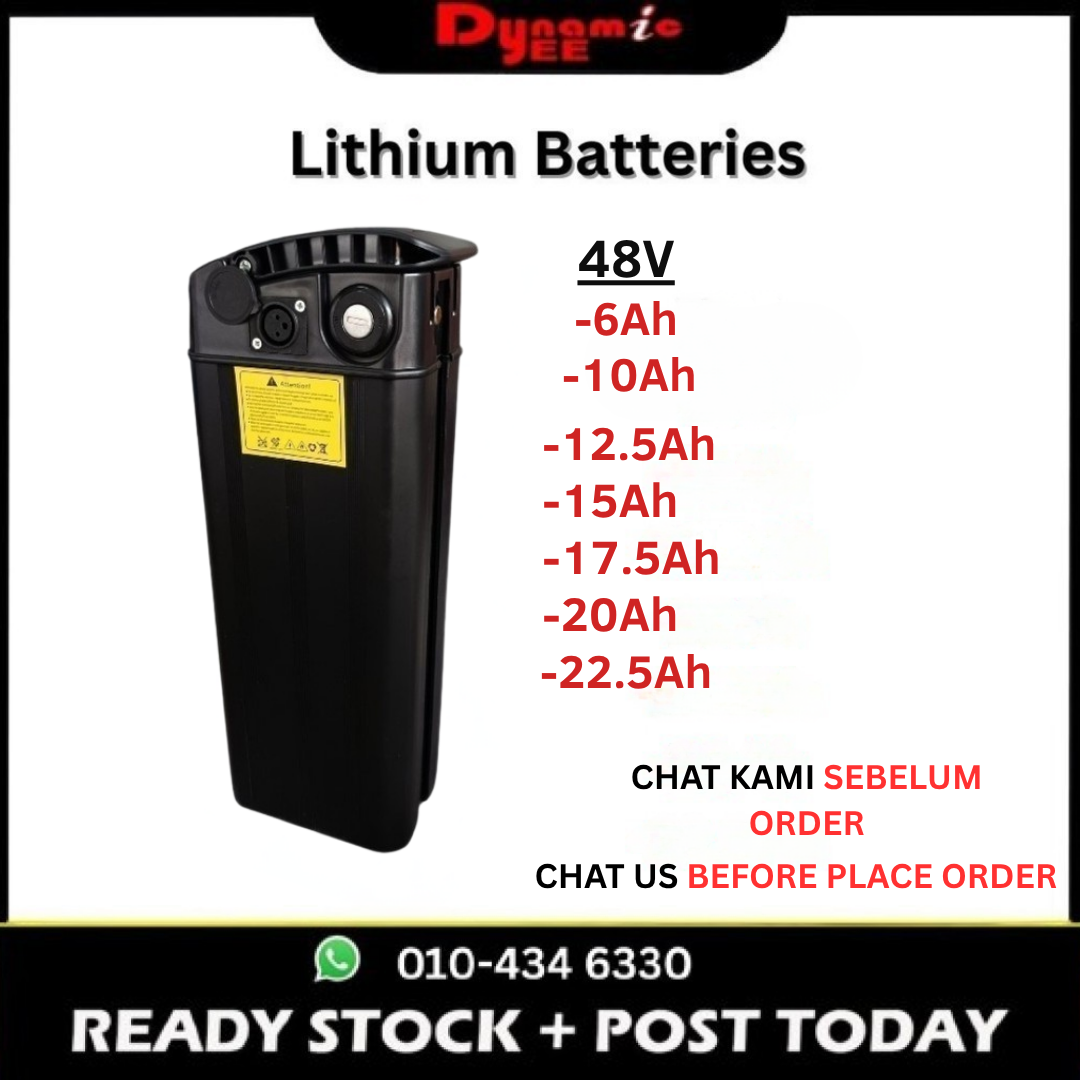 MIC TYPE 48V LITHIUM BATTERY ELECTRIC BICYCLE BIKE303
