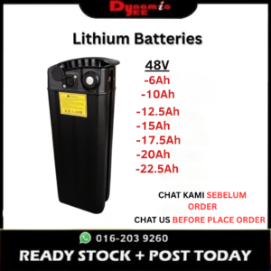 MIC TYPE 48V LITHIUM BATTERY ELECTRIC BICYCLE BIKE303